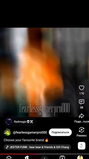5596.mp4