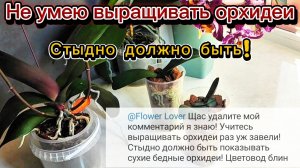 Стыдно должно быть- не умею выращивать орхидеи! Разворот и неприятный поворот Lava~ Sesame !