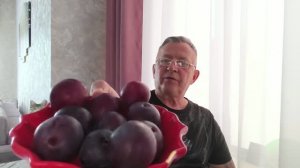 04.08.2026. Вкусная слива и мои драники с сыром.