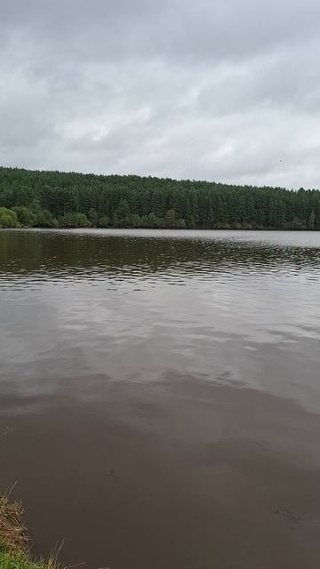 КРАСИВО?