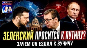 Зеленский ищет выход на Путина Трамп Две разные Америки Варшава давит на Киев Трагедии на пляже
