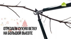 Сучкорез. Как работать инструментом? Обрезаем ветви на любой высоте. Азбука ремонта