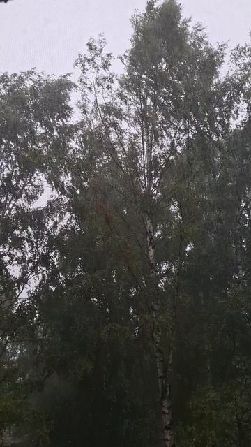 😱🌧☔⛈️