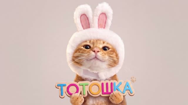 TS262-9
