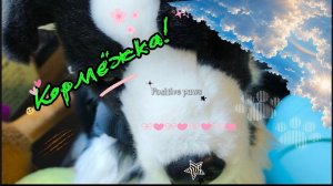Кормёжка!