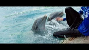 История дельфина: Каникулы на Багамах (2025) / Saving Bimini