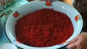 Красная Смородина