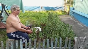 Жизнь на пенсии. Хроника минувшего дня 9 августа