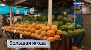 11.30 – «Вести. Адыгея» от 11.08.2026г.