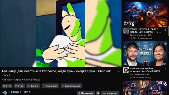 больница для животных