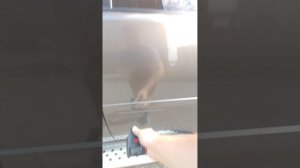 1000081718.mp4