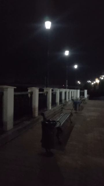Ночь на Владимирской набережной.