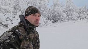 ОХОТА НА ГЛУХАРЯ ЗИМОЙ С МЕЛКАШКОЙ С ПОДХОДА. НАШЕЛ СТАЮ ГЛУХАРЯ В СТРАННОМ МЕСТЕ ДЛЯ МНОГИХ.mp4