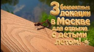 3 БЕСПЛАТНЫЕ ЛОКАЦИИ В МОСКВЕ ДЛЯ ДЕТЕЙ ☀️ Куда сходить летом?