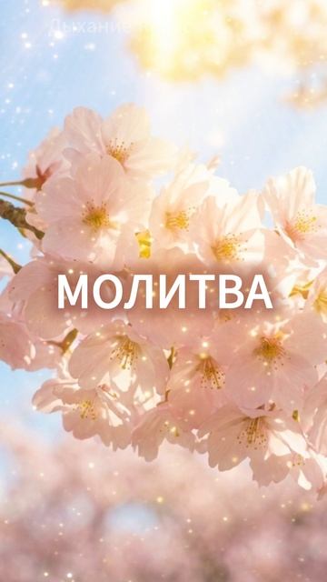 ПЕСНЯ 