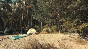 Детский Оздоровительный Лагерь «Телецкое».