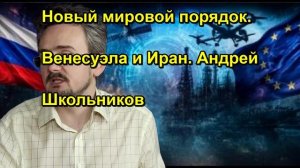 Новый мировой порядок. Венесуэла и Иран. Андрей Школьников