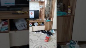 разоблачение на Мишу говно