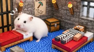 Пушистик снова в лабиринте 🐹 ХОМЯК СБЕГАЕТ ИЗ ЛАБИРИНТА МАЙНКРАФТ!
