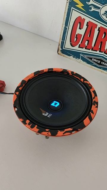 Обзор и установка DL Audio Gryphon Pro 165 SE