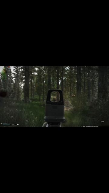 EFT! Лес -4 на 2 квадратных метрах! #eft #tarkov #gaming
