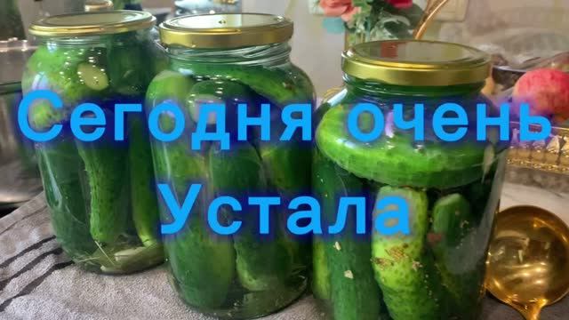 Сегодня очень устала!