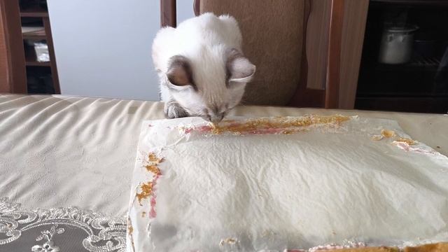 Клавка 11-08-2026