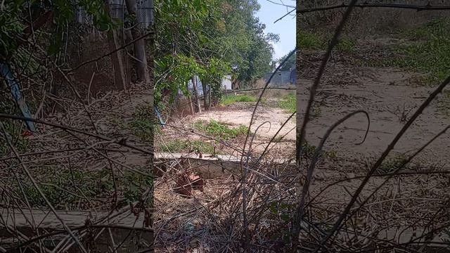 Заброшенные деревянные домики возле моря в с. Угловое КРЫМ часть 2