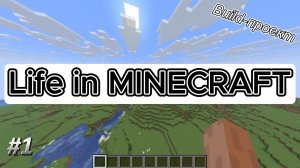 Build-проект «Мегаполис» в Minecraft #1