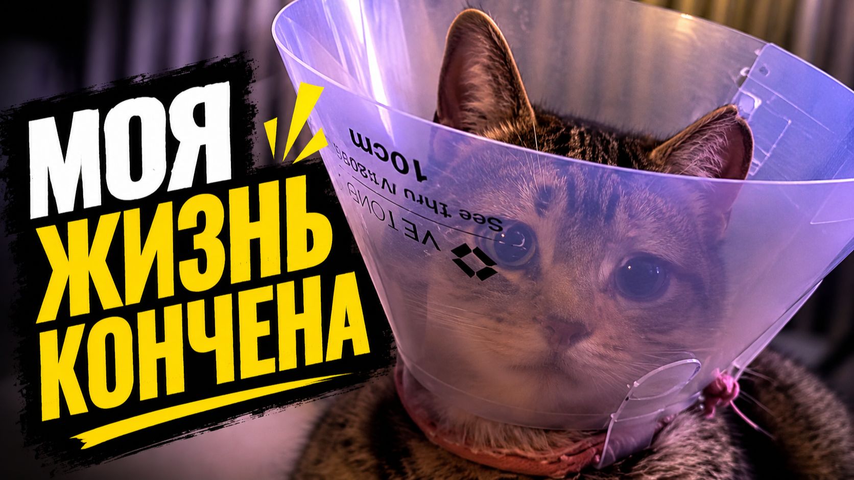Смех до слёз: лучшие приколы №310