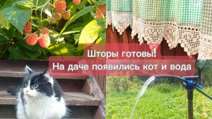 Проект года- шторы с вязаной каймой!❤️ Кот на даче. Поехала на операцию🦊
