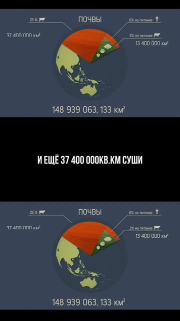 МЫ — ТРУПЫ ЧЕРЕЗ 150 ДНЕЙ или через 15 дней? Воздух, вода, почва: что исчезнет раньше?