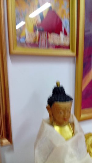 Луйжин