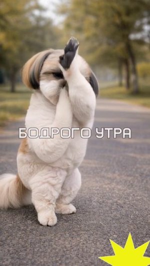 бодрого утра