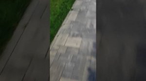 1000038958.mp4