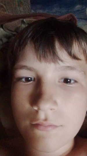 новый