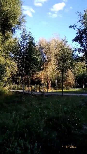 Парк «Чермянка» 10.08.2026