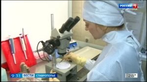 «Вести. Ставропольский край» 11.08.2026 (9.30)
