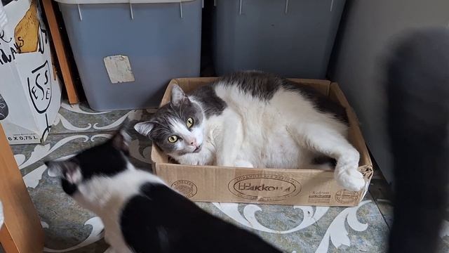 что нового? Массандра