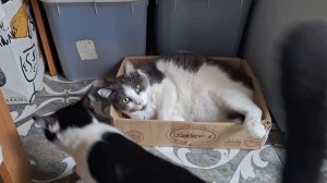 что нового? Массандра
