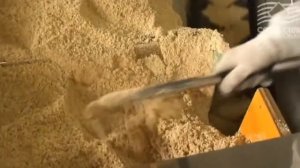 Какую воду пить каждый день: сколько, когда и почему обычная вода не усваивается