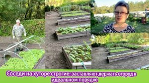 Соседи на хуторе строгие - заставляют держать огород в идеальном порядке