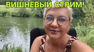 ВИШНЁВЫЙ СТРИМ.