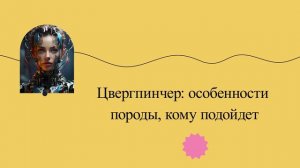 Цвергпинчер: особенности породы, кому подойдет
