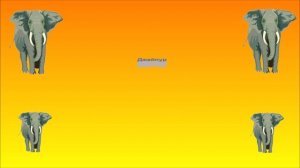 Индия - HD