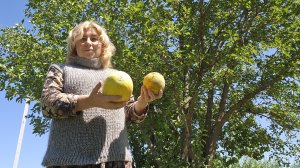Связала пуховый жилет, бахча погорела