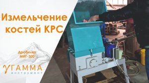 Дробилка костей КРС | МИГ-300 до 12мм | Измельчитель костей от производителя
