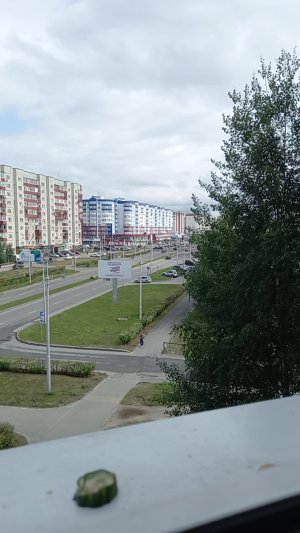 просто жёсткий видик
