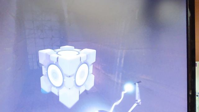 784.mp4