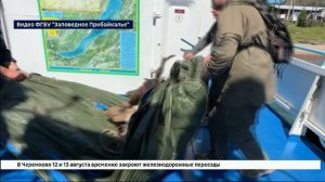 Спасенного на Байкале изюбря Гришу доставили в Иркутский зоопарк